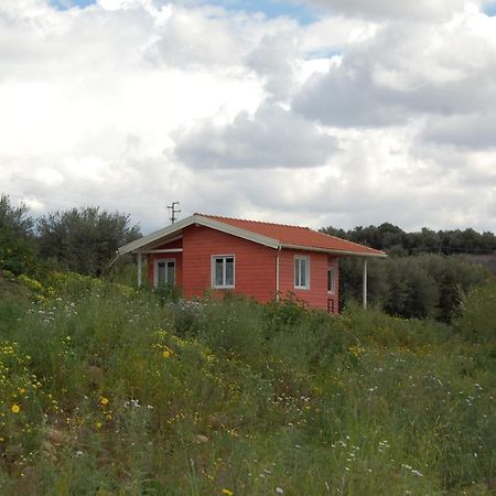 Mandorleo Apartment Belpasso Exterior photo
