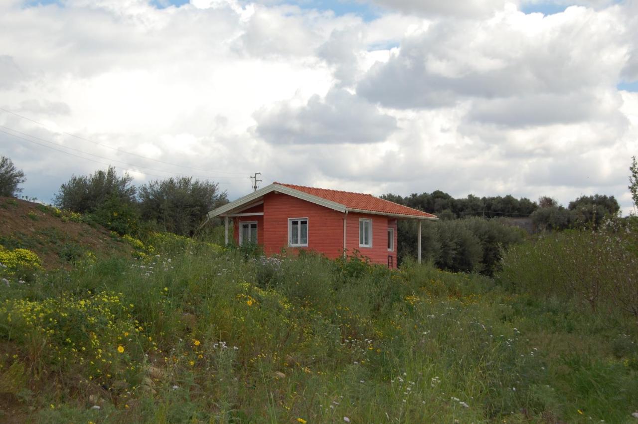 Mandorleo Apartment Belpasso Exterior photo